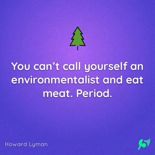 You can’t call yourself an environmentalist and eat meat. Period.