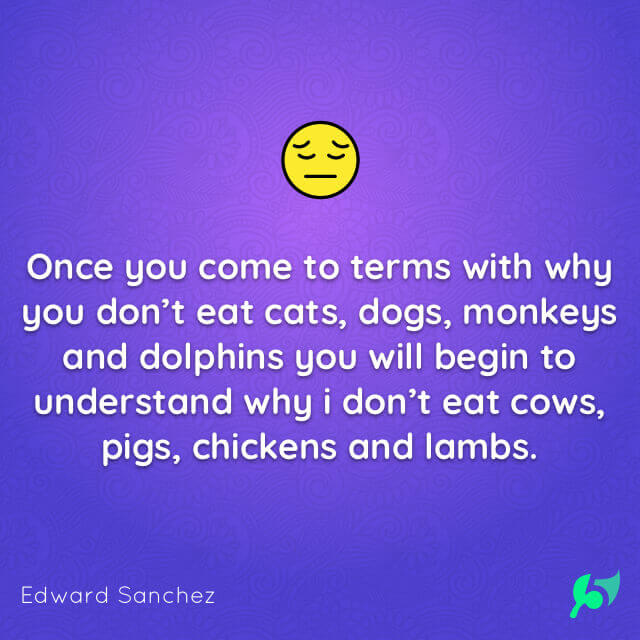 Once you come to terms with why you don’t eat cats, dogs, monkeys and dolphins you will begin to understand why i don’t eat cows, pigs, chickens and lambs.