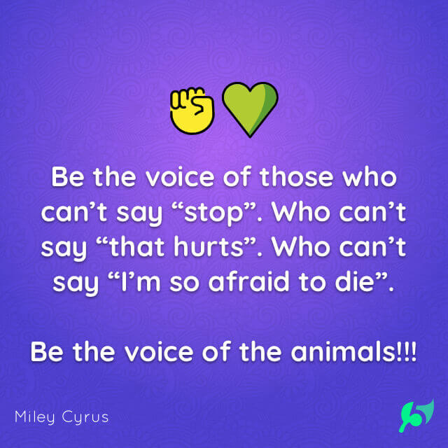 Be the voice of those who can’t say “stop”. Who can’t say “that hurts”. Who can’t say “I’m so afraid to die”. Be the voice of the animals!!!